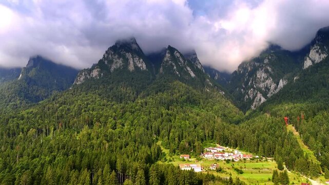 Picturesque mountain tops covered with fluffy white cloudscape. Lush evergreen pine tree woods cover the slopes of the rocks in the Bucegi Mountains, Romania.