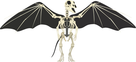 Mysterious Winged Creature Skeleton © FRIDA STORE