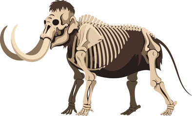 Mammoth Skeleton Illustration Prehistoric Wildlife and Paleontology