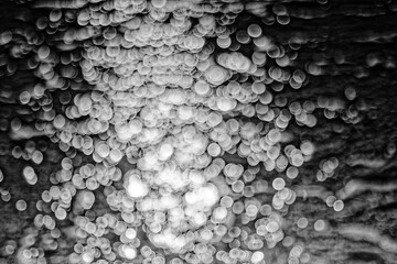 宇宙時間を思考