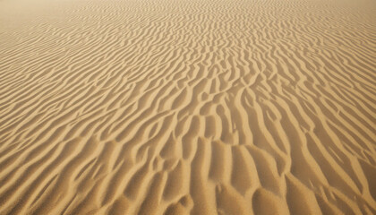 Desert sand dunes with wind ripple patterns visible
