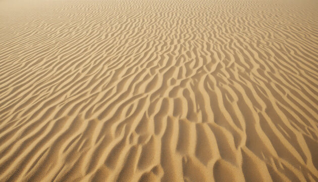 Desert sand dunes with wind ripple patterns visible