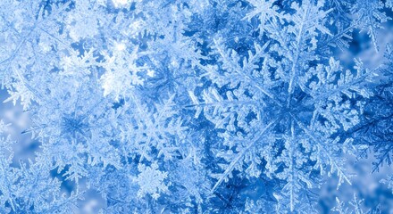 Close-up of numerous blue snowflakes detailed intricate ice crystal patterns