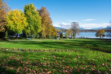 Obraz premium Mont Blanc vu depuis le parc Mont-Repos à Genève