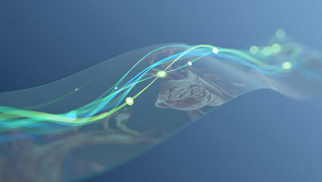 Dynamic abstract data streams flow over brain anatomy, symbolizing innovation, science, and digital connection.