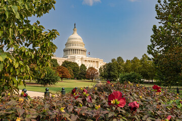 Blumen vor dem Capitol