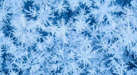 Close up of intricate ice crystal snowflakes on a blue background