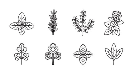 Collection of botanical illustrations featuring delicate leaf and flower silhouettes