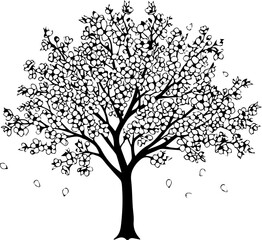 Obraz premium Elegant blossoming tree for spring design projects, evoking peace, renewal, and natural beauty, perfect for sophisticated branding and artistic compositions