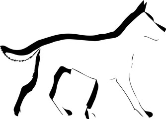 Dynamic silhouette of a running wolf captured in a bold, modern artistic style evoking primal energy and wild freedom.