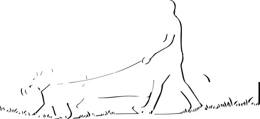 Person walking a small dog on a leash through grassy outdoor park on a bright day, celebrating pet companionship and healthy lifestyle