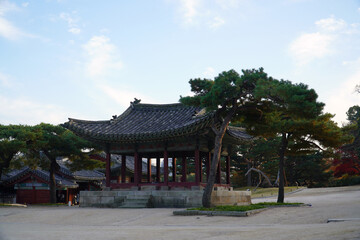 Fototapeta premium the autumn scenery of Changgyeong Palace