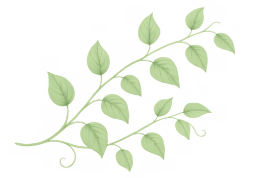 Green vine with delicate leaves, watercolor botanical element, soft spring foliage illustration for design and decor