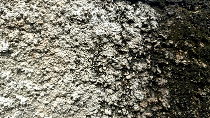 Close-up of rough concrete texture
