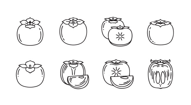 Collection of hand drawn persimmon fruit illustrations in silhouette style