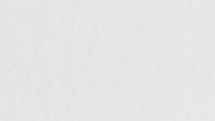 Real White canvas paper texture background subtle grain clean surface minimalistic blank neutral...