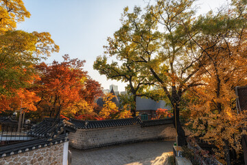 Deoksugung Doldam Gil Autumn Foliage
