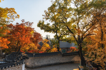 Deoksugung Doldam Gil Autumn Foliage