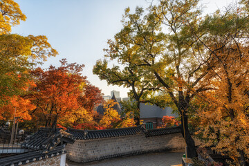 Deoksugung Doldam Gil Autumn Foliage