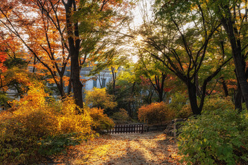 Deoksugung Palace Park Autumn Foliage