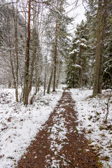 A narrow woodland path winds through a quiet forest dusted with fresh snow, bare branches and evergreens lining the trail beneath a pale winter sky. Peaceful, cold, and still. location Norway.