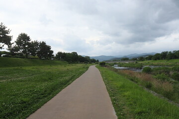 Obraz premium 河川敷の道