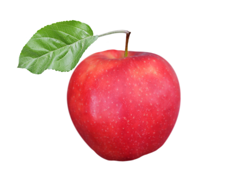 fresh ripe apple with leaf isolated on transparent  background