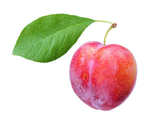 close up of fresh ripe plum with leaf isolated on transparent background