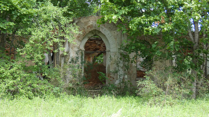 Abandoned structure overgrown with vegetation in a serene natural setting during daylight