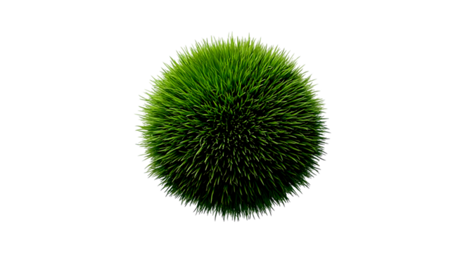 Green spiky plant egg isolated on transparent background