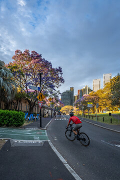 Sunrise Ride in Sydney with Panoramic Views from the Cahill Expressway