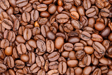 Roasted Coffee Beans