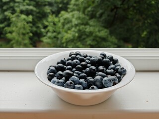 There is a ceramic bowl with delicious and healthy blueberries on the windowsill near the window. The trees of the city park are outside the window