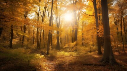 Fototapeta premium Golden canopy: An atmospheric autumn forest scene bathed in radiant sunlight
