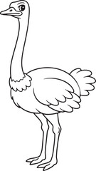 Ostrich cartoon outline