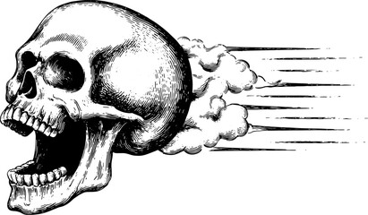 Skull art in vintage engraving style. Detailed black and white line illustration in a classic vector design.