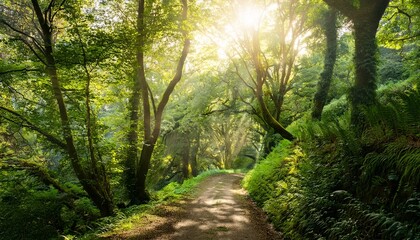 Obraz premium A Sun Dappled Forest Path Winds Through Lush Greenery Dappled Sunlight Filtering Through The Canopy Creating A Magical Atmosphere Ideal For Nature Travel And Fantasy Themes Calm Rural Image