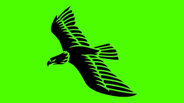 eagle illustration bad silhouette green logo screen icon video outline bird predator wildlife freedom cartoon hawk wild nature falcon shape and vector graphic background
