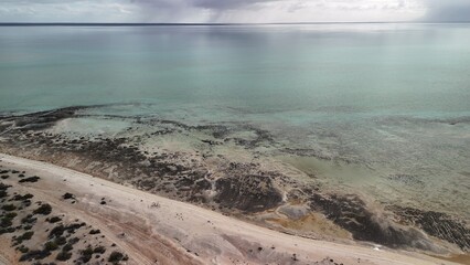 Aerial drone view of Hamelin Pool in Western Australia showing stromatolites and turquoise waters