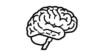 A minimalist line drawing of a human brain, symbolizing knowledge, intellect, and cognitive functions