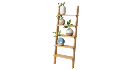 Wooden ladder shelf with potted plants on black background