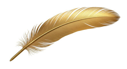 Golden feather with delicate details on white background © Vladislav