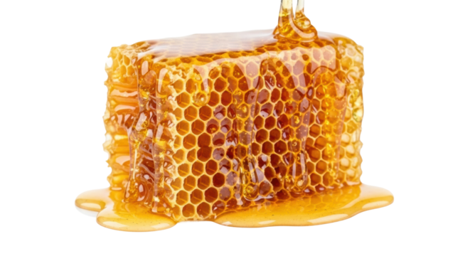 Golden honeycomb dripping with fresh honey