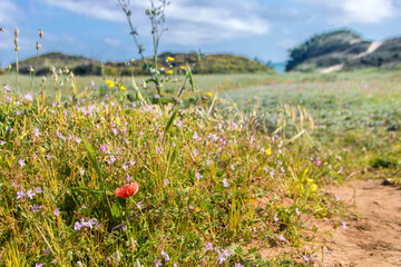 Torre Guaceto protected marine reserve