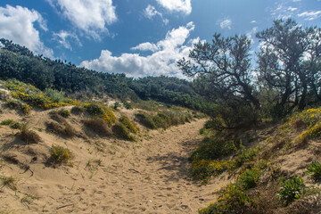 Torre Guaceto protected marine reserve
