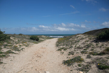 Torre Guaceto protected marine reserve