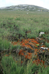 Landscape surrounding the Mont Saint-Michel de Brasparts - Saint-Rivoal - Finistere - Bretagne - France
