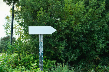A horizontal blank white directional arrow sign is mounted on a weathered wooden post outdoors. It is surrounded by dense, lush green foliage and evergreen trees.