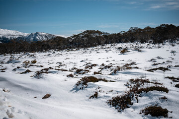 Ice on the road on a mountain in winter in australia mountain in a national park looking over a city below, mt wellington hobart tasmania australia in summer. snow on the roads.