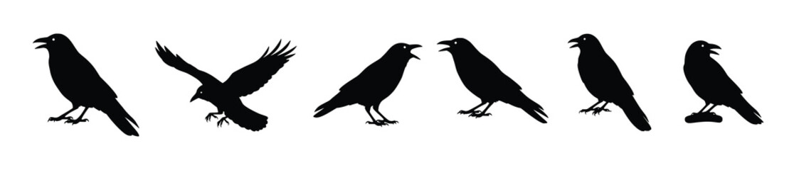 collection of crow silhouettes in different poses isolated .